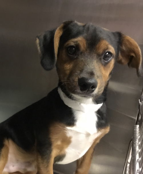 Ernie