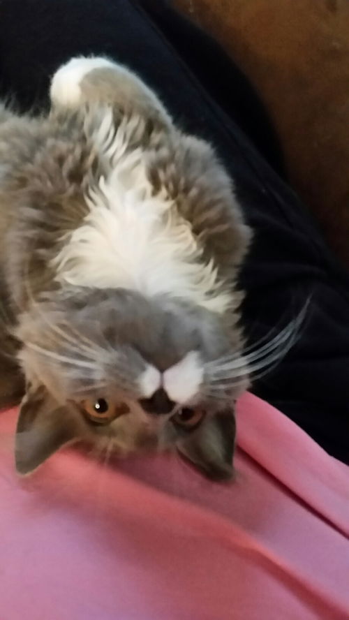 Einstein