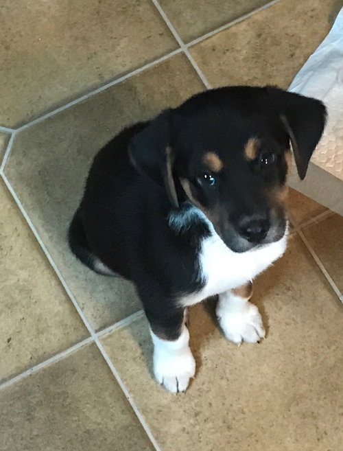 Luna Mae