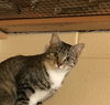 Trudy