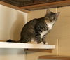 Trudy