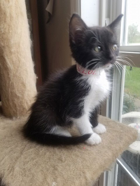 Salem