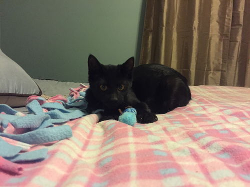 Salem