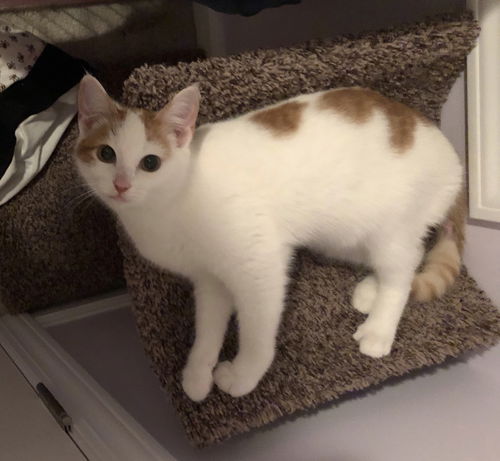 Sam