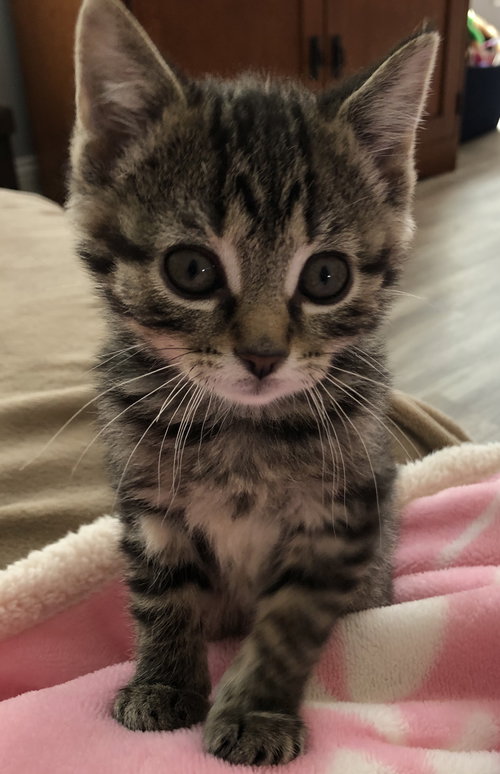 Avery