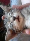 Tilly Jane