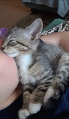 Tilly Jane