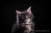 Fuzz Aldrin