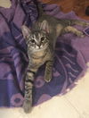 Zoey