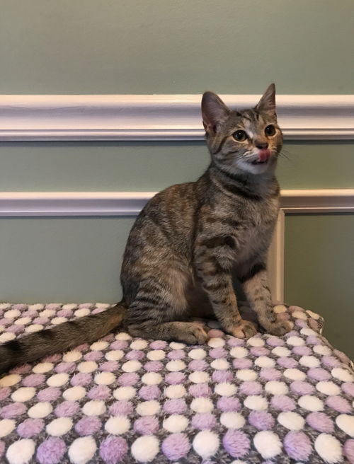 Penelope