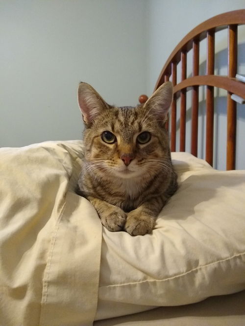 Hunter