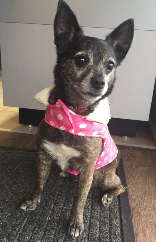 Bella