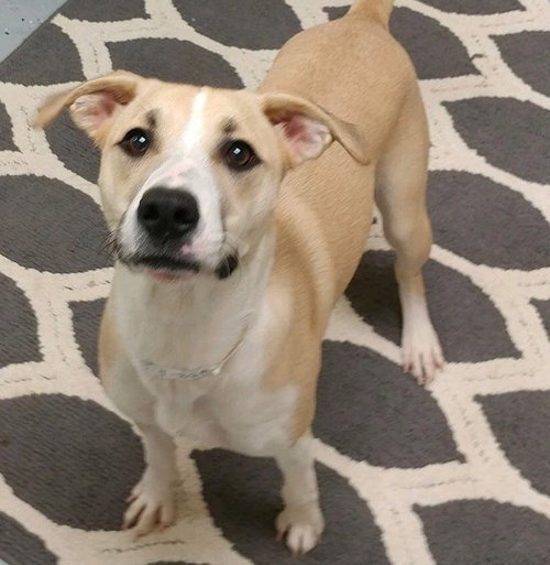 Fiona
