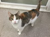 Sylvie