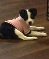 Ethel