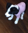 Ethel