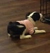 Ethel