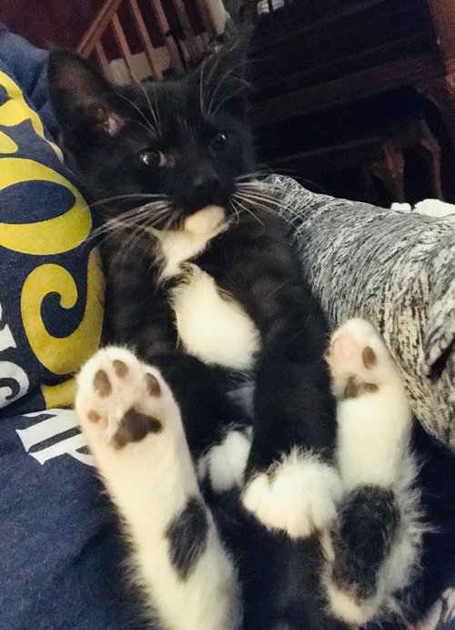 Mittens