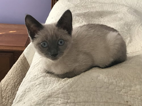Skye
