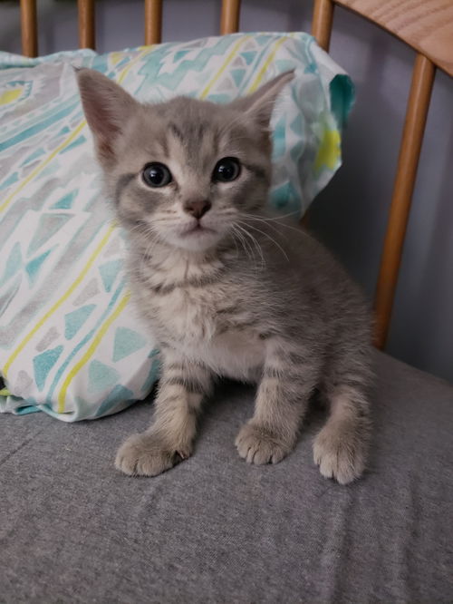 Nash