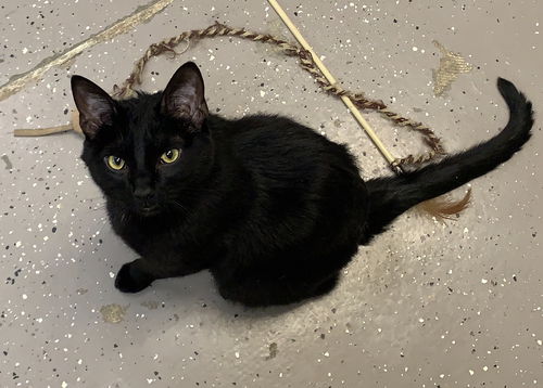 Salem