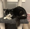 Tina