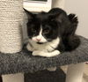 Tina