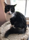Tina