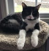 Tina