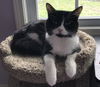 Tina