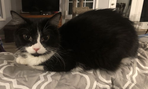 Tina