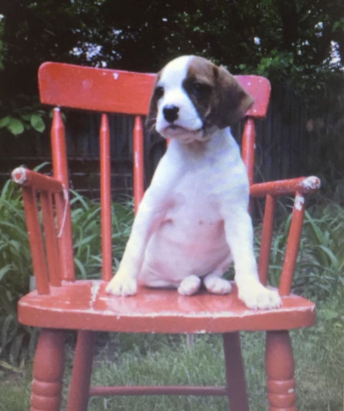 Maggie