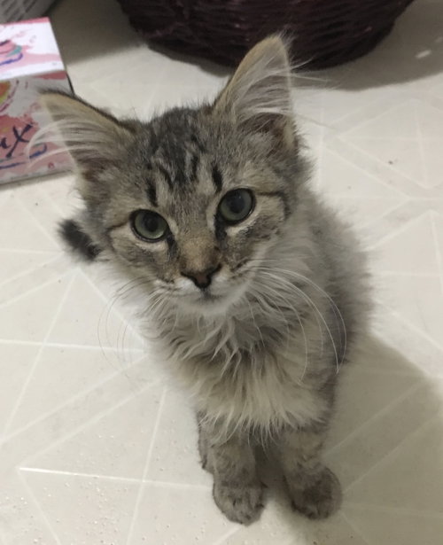 Luna