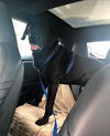 Samson