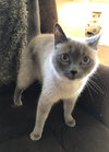 Sophie