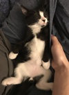 Mr. Margaret