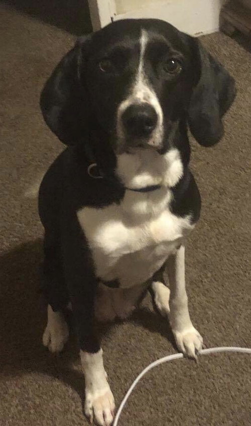 Molly
