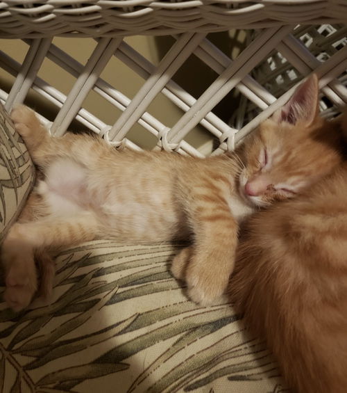 Tiny