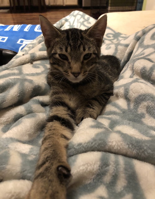 Spunky