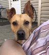 Bruce