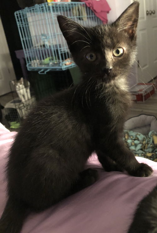 Ernie