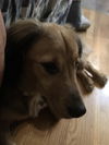Tyson