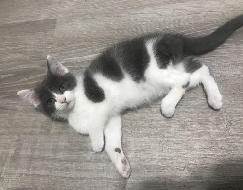Maggie