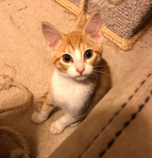 Malcolm