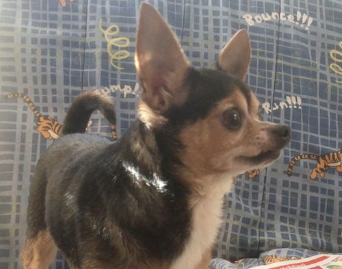 Tinkerbell 2.0