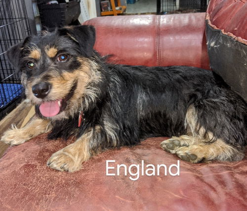 England