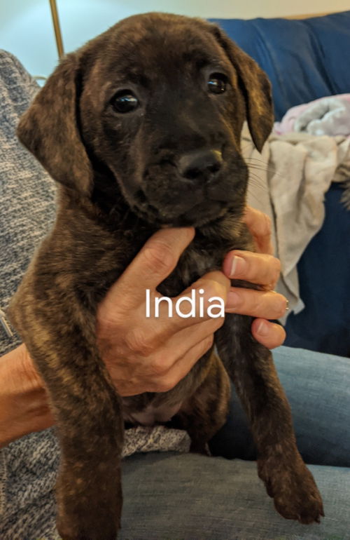 India