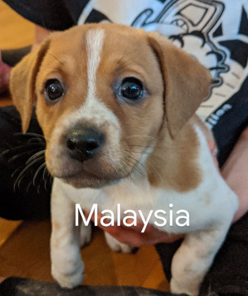 Malaysia