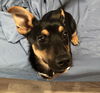 Tucker