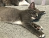 Smudge